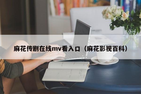 麻花传剧在线mv看入口（麻花影视百科）