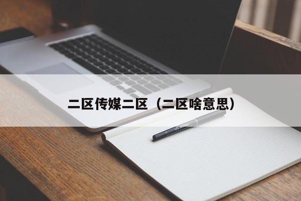 二区传媒二区（二区啥意思）