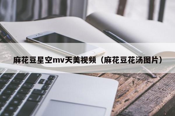 麻花豆星空mv天美视频（麻花豆花汤图片）