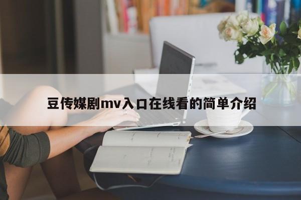 豆传媒剧mv入口在线看的简单介绍