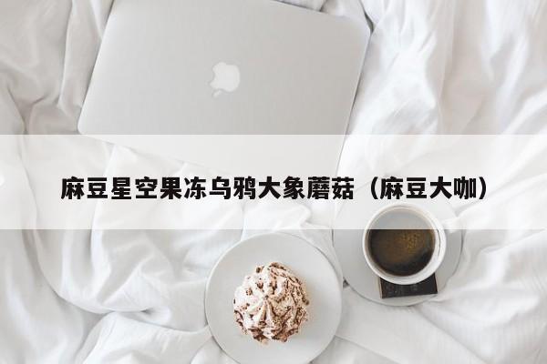 麻豆星空果冻乌鸦大象蘑菇（麻豆大咖）